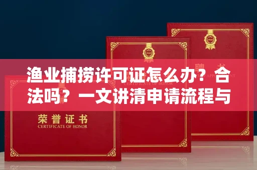 全国渔业捕捞许可证怎么办?合法吗?一文讲清申请流程与合规要点